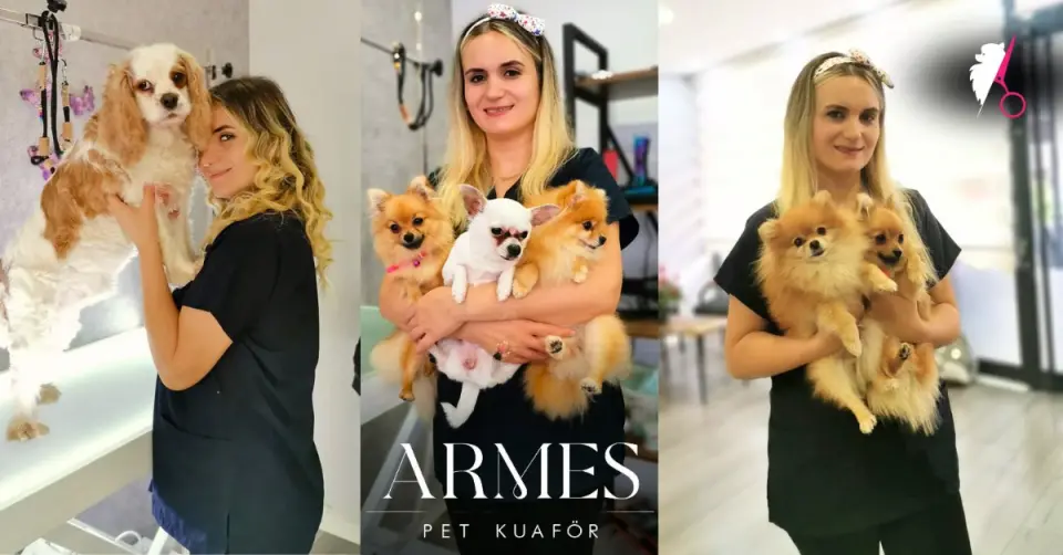 Armes Pet Kuaför işletme fotoğrafı