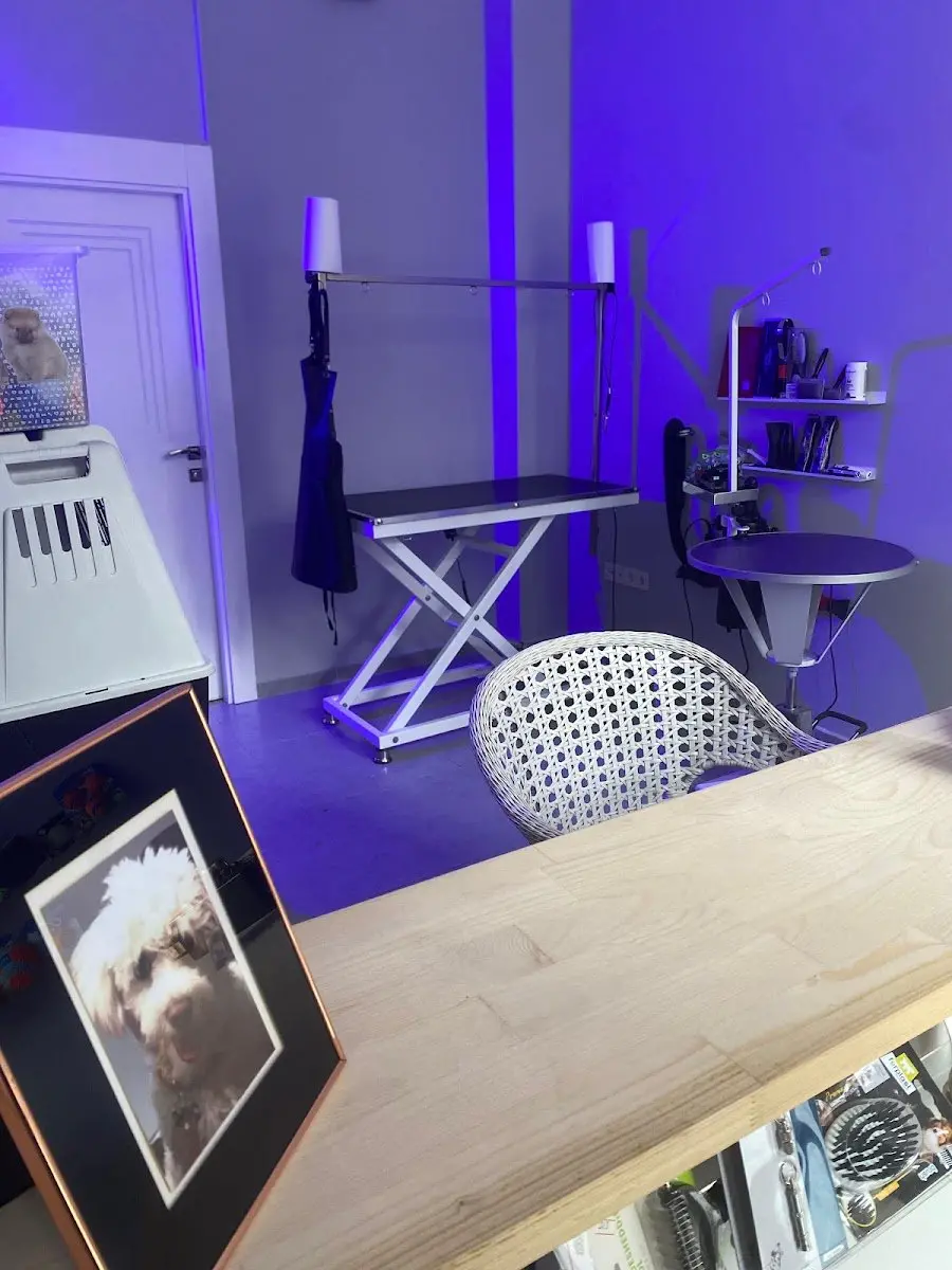 Coco Pet Kuaför&Spa | Pet Kuaför Eğitim Merkezi işletme fotoğrafı