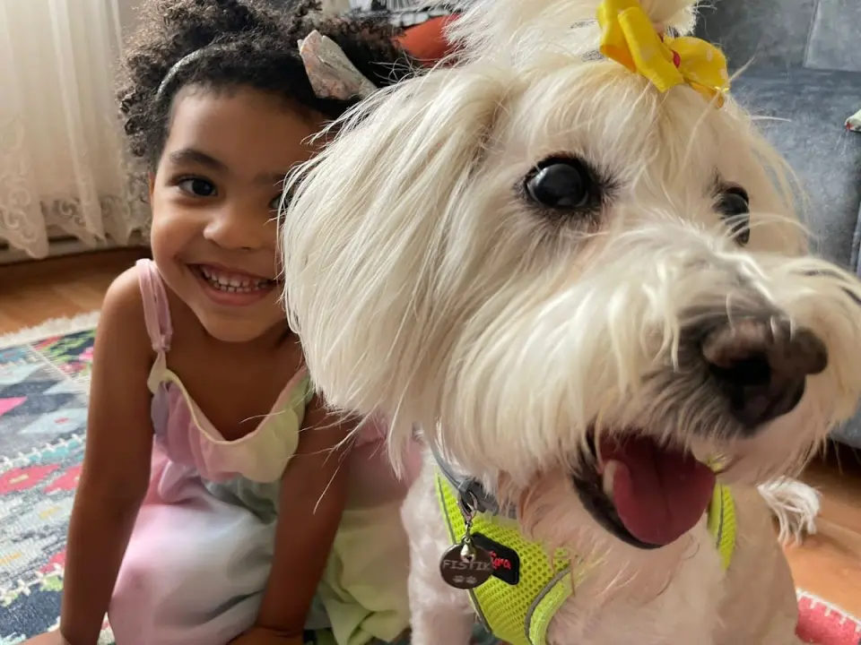Patikür Pet Kuaför işletme fotoğrafı
