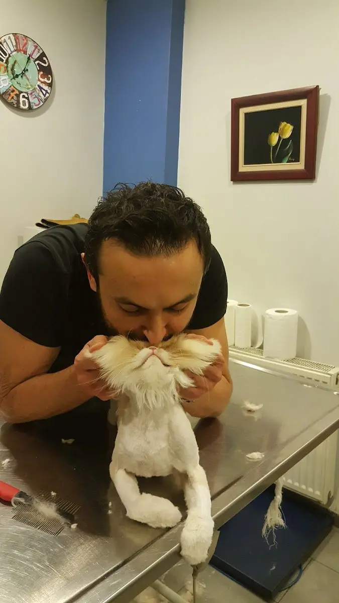 Petkuaför Mustafa Gün işletme fotoğrafı