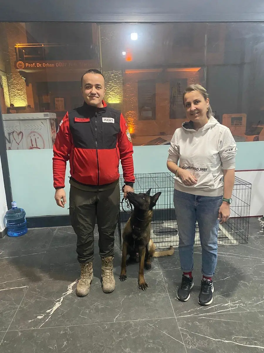 Pet styling-pet kuaför işletme fotoğrafı