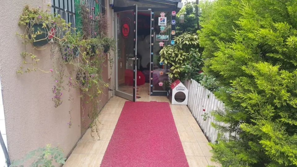 Memo's Pet Kuaför işletme fotoğrafı
