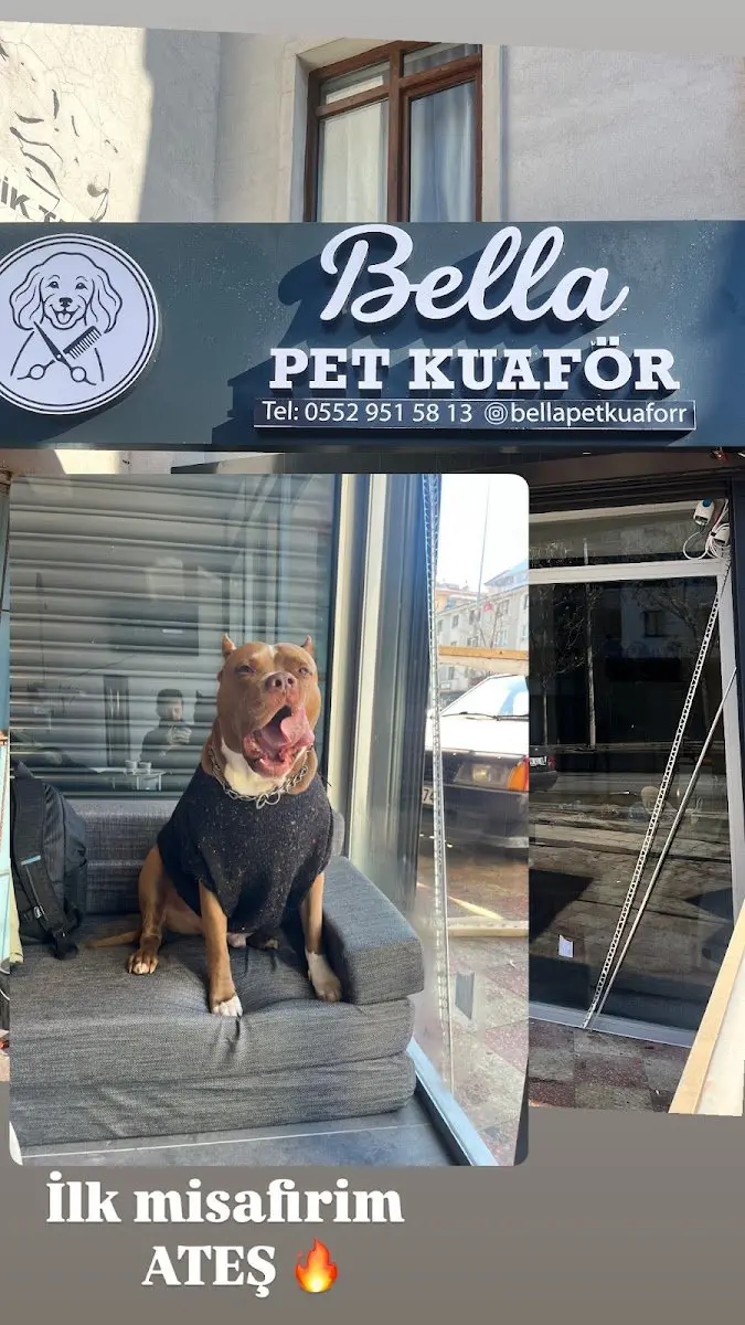Bella Pet Kuaför işletme fotoğrafı