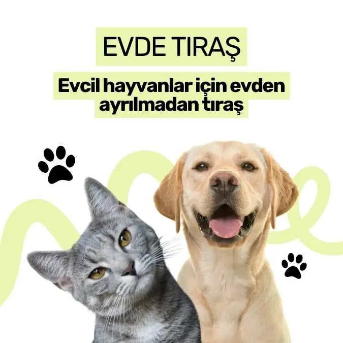 Antalya Evde Pet Kuaför işletme fotoğrafı