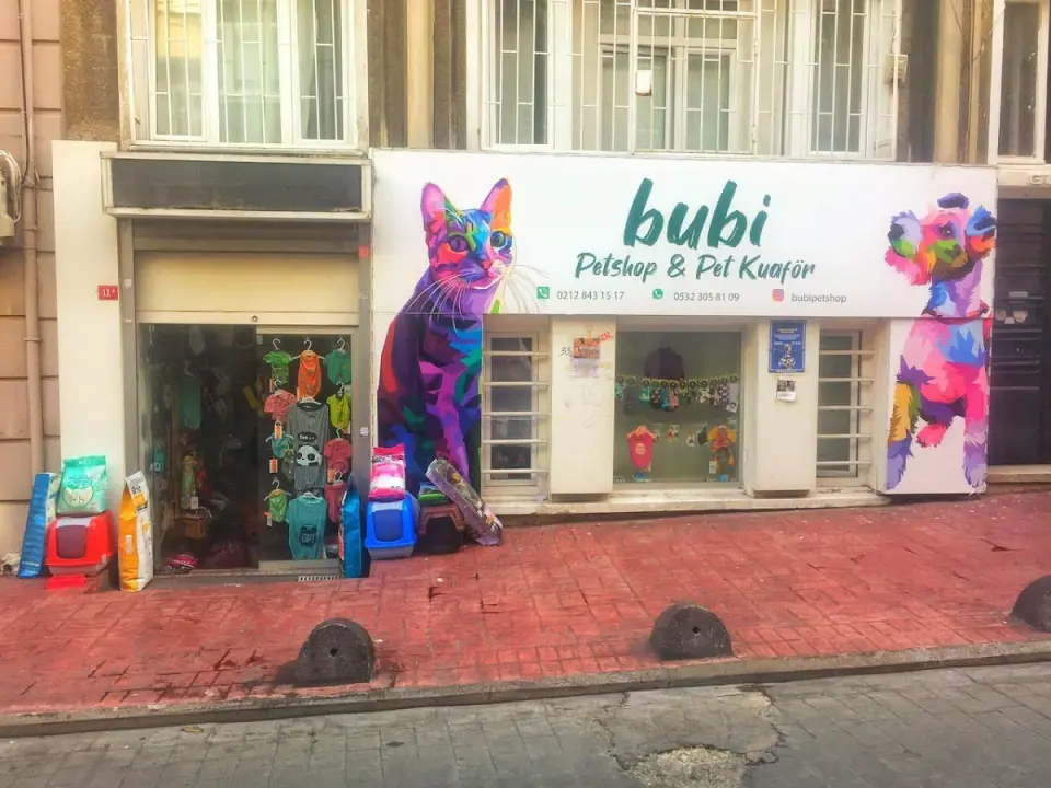 bubi petshop ve Kuaför işletme fotoğrafı