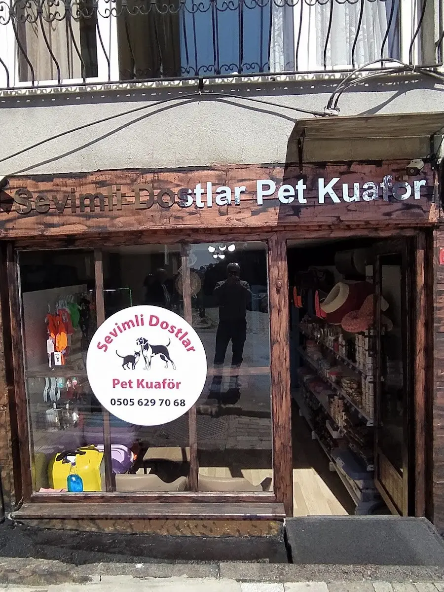 Sevimli pet Kuaför işletme fotoğrafı