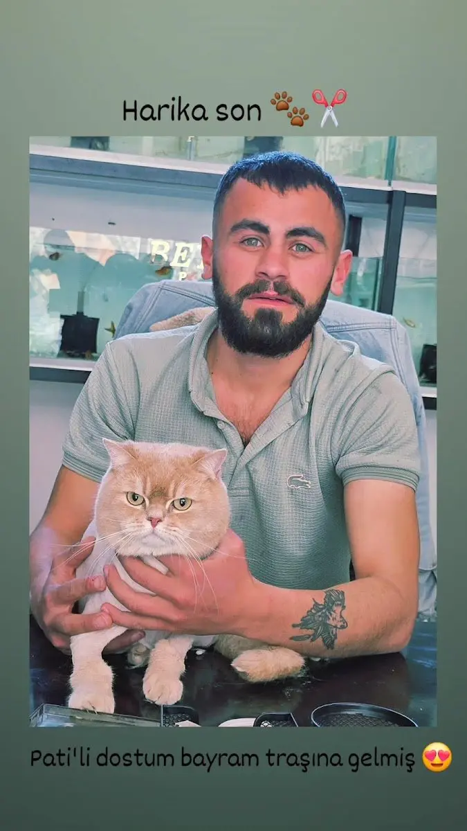 bozbey park pet kuaför & petshop işletme fotoğrafı