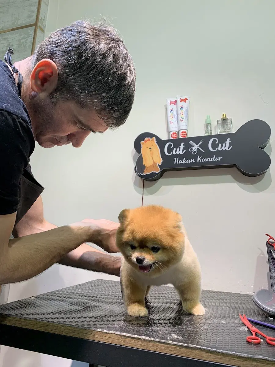 Cut Cut Pet Kuaförü&Shop işletme fotoğrafı
