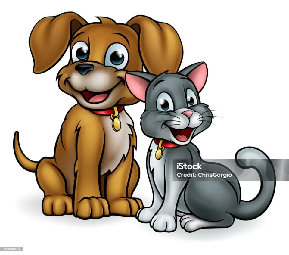 ÖZ_SArısu pet kuaför işletme fotoğrafı